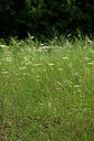 BUITEN BEELD Foto: 436906