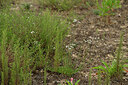 BUITEN BEELD Foto: 436907