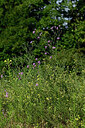 BUITEN BEELD Foto: 436908