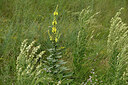 BUITEN BEELD Foto: 436910