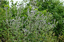 BUITEN BEELD Foto: 436911