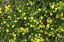 BUITEN BEELD Foto: 436912
