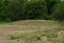 BUITEN BEELD Foto: 436913