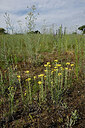 BUITEN BEELD Foto: 436915