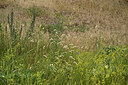 BUITEN BEELD Foto: 436917