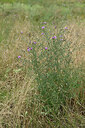 BUITEN BEELD Foto: 436921