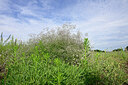 BUITEN BEELD Foto: 436927
