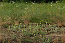 BUITEN BEELD Foto: 436928