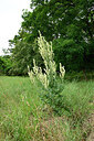 BUITEN BEELD Foto: 436930