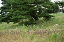 BUITEN BEELD Foto: 436934