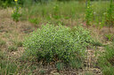 BUITEN BEELD Foto: 436937