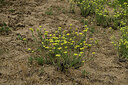 BUITEN BEELD Foto: 436938