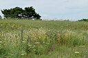 BUITEN BEELD Foto: 436940