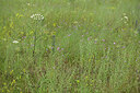 BUITEN BEELD Foto: 436945