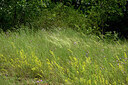 BUITEN BEELD Foto: 436948