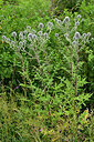 BUITEN BEELD Foto: 436949