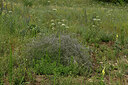 BUITEN BEELD Foto: 436953