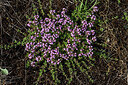 BUITEN BEELD Foto: 436957