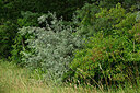 BUITEN BEELD Foto: 436958