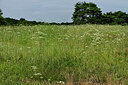 BUITEN BEELD Foto: 436960