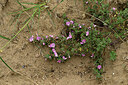 BUITEN BEELD Foto: 436961