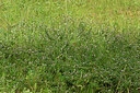 BUITEN BEELD Foto: 436962