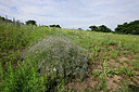 BUITEN BEELD Foto: 436963