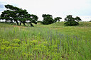 BUITEN BEELD Foto: 436965