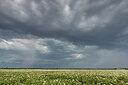 BUITEN BEELD Foto: 437027
