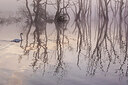 BUITEN BEELD Foto: 437048