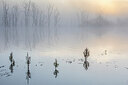 BUITEN BEELD Foto: 437049