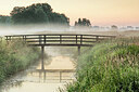BUITEN BEELD Foto: 437053
