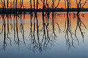 BUITEN BEELD Foto: 437054