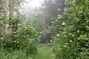 BUITEN BEELD Foto: 437089