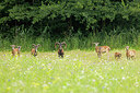 BUITEN BEELD Foto: 437091