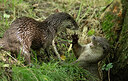 BUITEN BEELD Foto: 437105