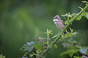 BUITEN BEELD Foto: 437169