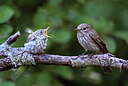 BUITEN BEELD Foto: 437202