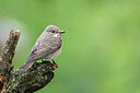 BUITEN BEELD Foto: 437203