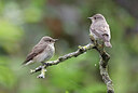 BUITEN BEELD Foto: 437204