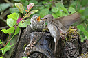 BUITEN BEELD Foto: 437208