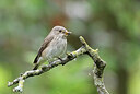 BUITEN BEELD Foto: 437209