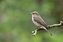 BUITEN BEELD Foto: 437213