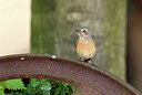 BUITEN BEELD Foto: 437222
