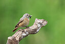 BUITEN BEELD Foto: 437227