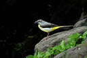 BUITEN BEELD Foto: 437231