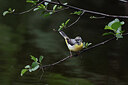 BUITEN BEELD Foto: 437233