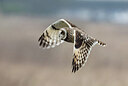 BUITEN BEELD Foto: 437242