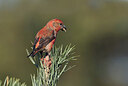 BUITEN BEELD Foto: 437244
