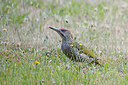 BUITEN BEELD Foto: 437252
